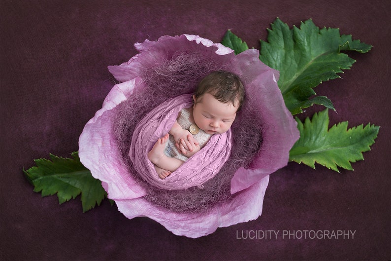 Poppy Nest with Textured Backdrop Overlay Digital Backdrop Photography Prop Digital Newborn Prop Digital Background Girl Prop