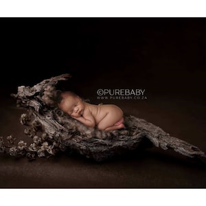 Digital Background - Digital Backdrop - Digital Prop - Newborn Digital - Newborn Backdrop - Boy Digital Background - Girl Digital Backdrop