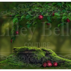 Digital Background - Digital Backdrop - Newborn Backdrop - Composite Backdrop - Fairytale - Snow White Inspired Backdrop