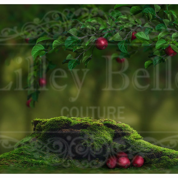 Digital Background - Digital Backdrop - Newborn Backdrop - Composite Backdrop - Fairytale - Snow White Inspired Backdrop