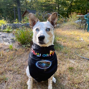 Peut inclure: Un chien blanc et brun portant un bandana noir avec le texte "Glow on Fire" et un motif arc-en-ciel.