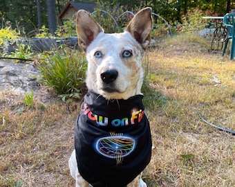 Bandana