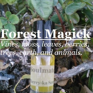 Forest Magic fragrance (Earth, galbanum, fir, oakmoss, juniper, blackberry, spruce)