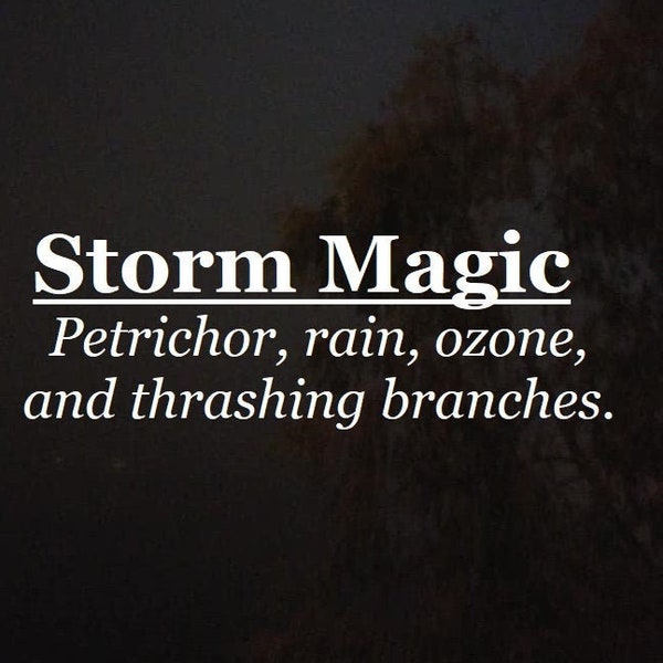 Storm Magic fragrance (Petrichor, rain, ozone, branches, wet earth)