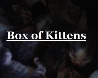 Box of Kittens fragrance (smells just like kittens)