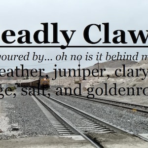 Deadly Claws fragrance (leather, juniper, clary sage, salt, goldenrod)