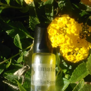 Desire and Will fragrance, favored by people from fiery places (ginger, chamomile, bay)