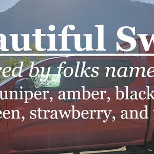 Puede incluir: Una camioneta roja con el texto "Beautiful Swan" y texto adicional. El fondo presenta una cordillera, árboles y una masa de agua. El texto incluye las frases "Favoured by folks named Bella" y una lista de elementos naturales.