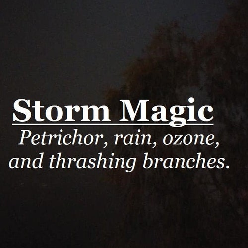 Storm Magic fragrance (Petrichor, rain, ozone, branches, wet earth)