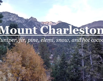 Mount Charleston fragrance (Juniper, fir, pine, elemi, snow, hot cocoa)