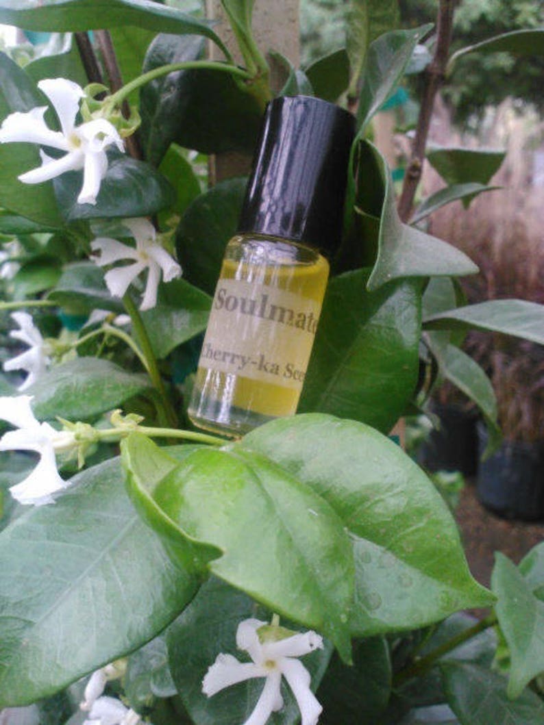 Mojo fragrance Mint julep, rum, tobacco image 1