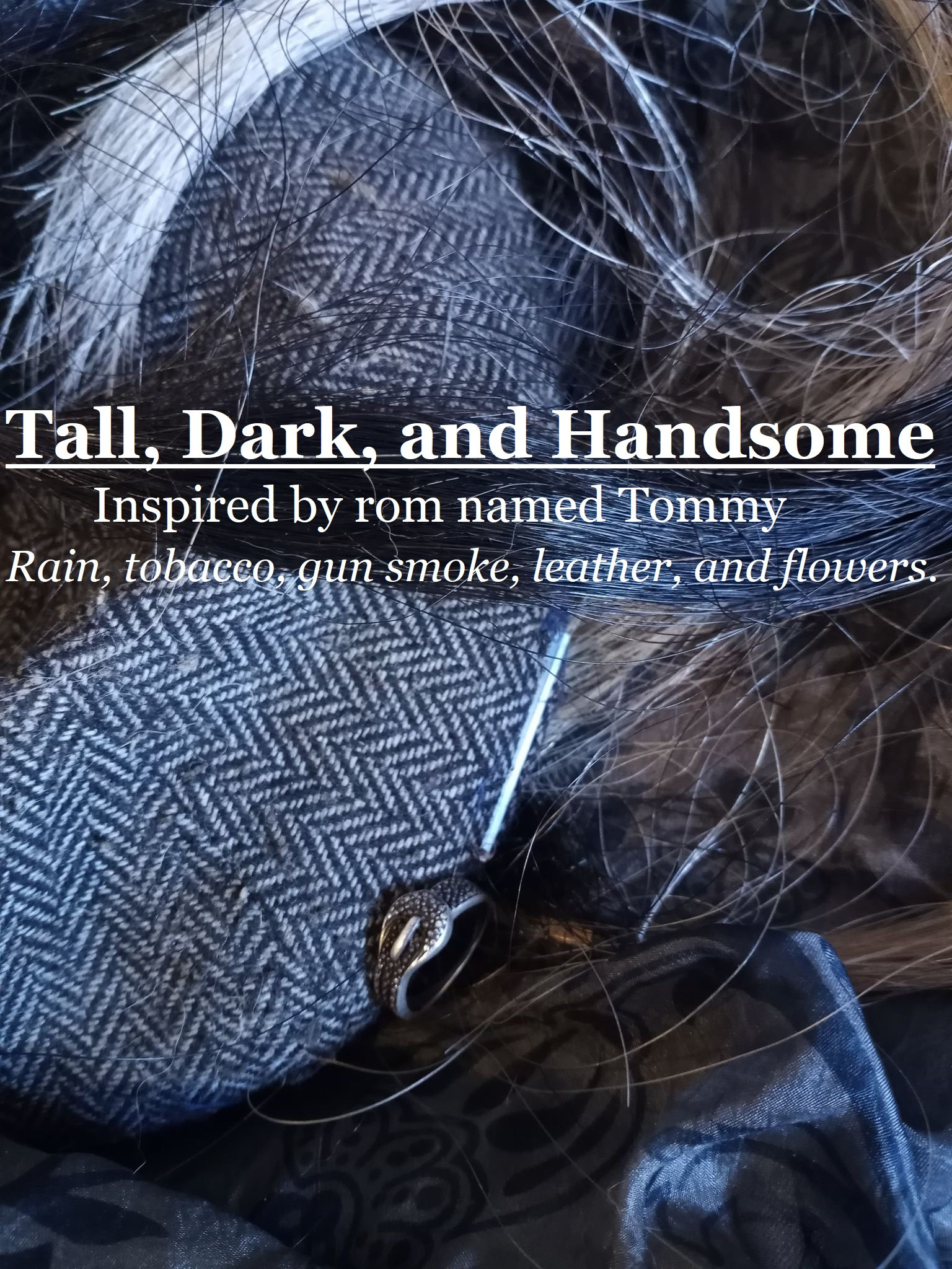 Tall Dark And Handsome Quotes