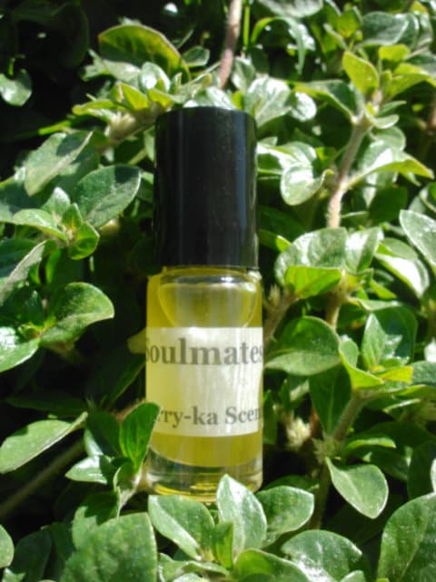 Riptide fragrance, favored for pouring water at your enemies (amber, ocean, lavender)
