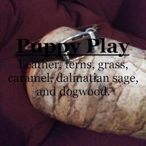 Puppy Play fragrance (Leather, ferns, grass, caramel, dalmatian sage, dogwood)