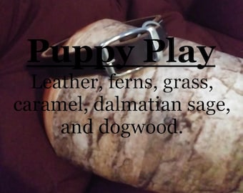 Puppy Play fragrance (Leather, ferns, grass, caramel, dalmatian sage, dogwood)