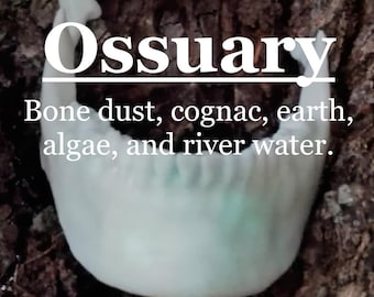 Ossuary fragrance (Bone dust accord, cognac, river water, earth, algae)