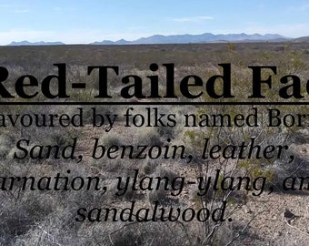 Red-Tailed Fae (sand, benzoin, leather, carnation, ylang-ylang, sandalwood)