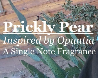 Prickly Pear fragrance, inspired by Opuntia
