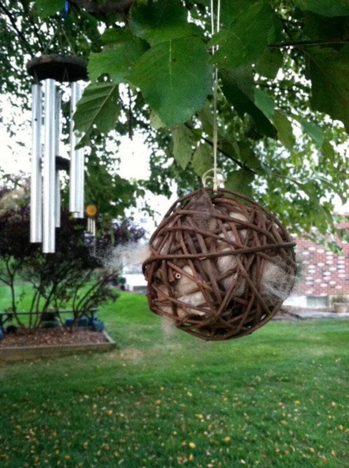 Bird Nesting Ball Etsy