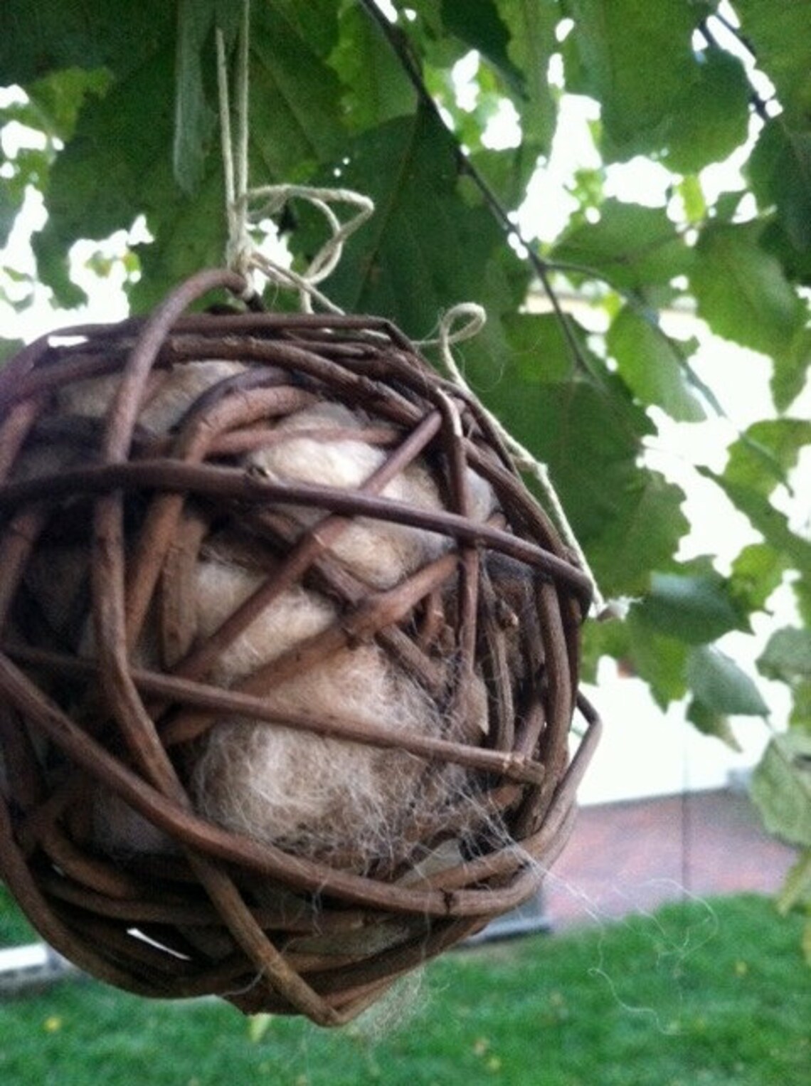 Bird Nesting Ball Etsy