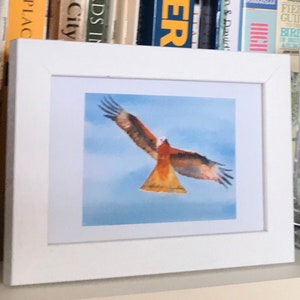 Red Kite eagle in flight - an original watercolour Framed Print -  a super Gift for Him - Bird Wall Art