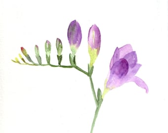 Purple Freesia Watercolour Handmade  Cards,