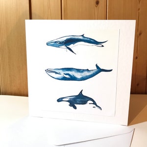 Handmade Watercolour Killer Whale Card  6 x 6 inch