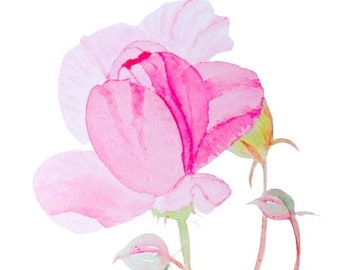 Dolce piccolo regalo di graziose carte fatte a mano con acquerello di rose rosa