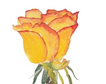 Handmade Watercolour Peach Fuzz Rose Greeting cards