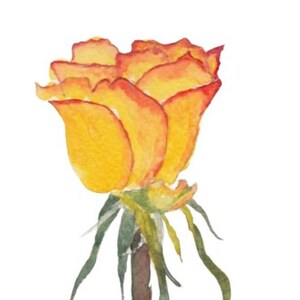 Handgemaakte aquarel perzik roos wenskaarten