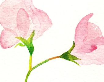 Handmade Watercolour Sweet Pea Cards a lovely Teachers Gift