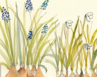 Original watercolour pen and wash Botanical Style Snowdrop and Grape Hyacinth Painting
