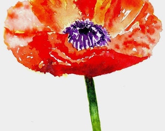 Botanical Poppy Watercolour Cards