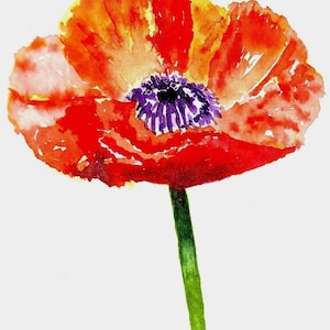 Poppy -  a gorgeous vivid  orange and yellow Poppy flower handmade Watercolour Cards