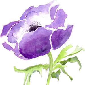 Anêmona roxa - um lindo cartão de felicitações feito à mão em aquarela para encantar amigos e familiares em qualquer ocasião