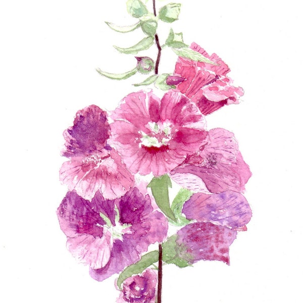 Handmade Watercolour Lavatera Flower Greeting Cards a set of 4