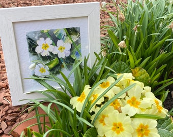 Primroses a Framed Print a sweet small home decor gift for her