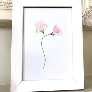 Sweet Pea - ein dekorativer gerahmter Druck - Ein schönes Geschenk für sie