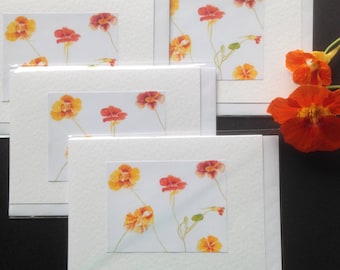 Handmade Nasturtium Watercolour Cards a set of four