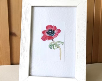 Stampa incorniciata ad acquerello con anemone rosso