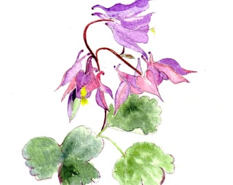 Handmade Watercolour Pink Aquilegia notecards