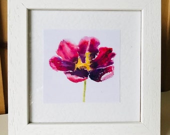 Handmade Watercolour Framed Print of a Colourful Tulip