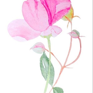 Sweet Small Gift of Pretty Pink Rose Watercolour Handmade Cards image 10