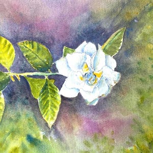 Gardenia - un acquerello originale di un bellissimo fiore bianco - delicata decorazione murale per valorizzare il tuo arredamento