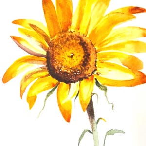 NOVIDADE! Girassol - um lindo cartão de aniversário grande em aquarela feito à mão - perfeito para um grande aniversário