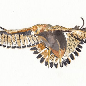 Cartão de aquarela feito à mão Golden Eagle