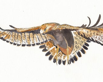 Golden Eagle Handmade Watercolour Card