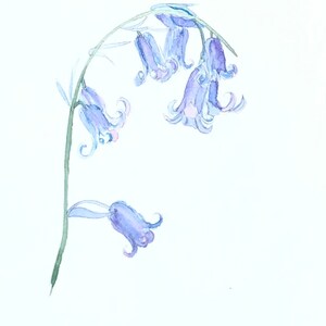 Personalised Handmade Watercolour Bluebell Card image 2