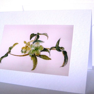 Handmade Watercolor Spring Flower Cards, small gift idea image 4