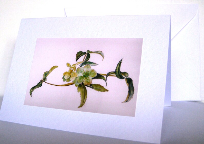 Handmade Watercolor Spring Flower Cards, small gift idea imagem 4